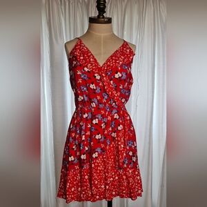 Express Red Floral Dress